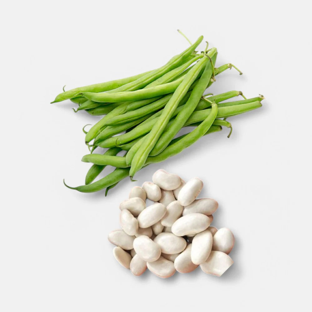 France Beans Seeds 8gm | Sunrise