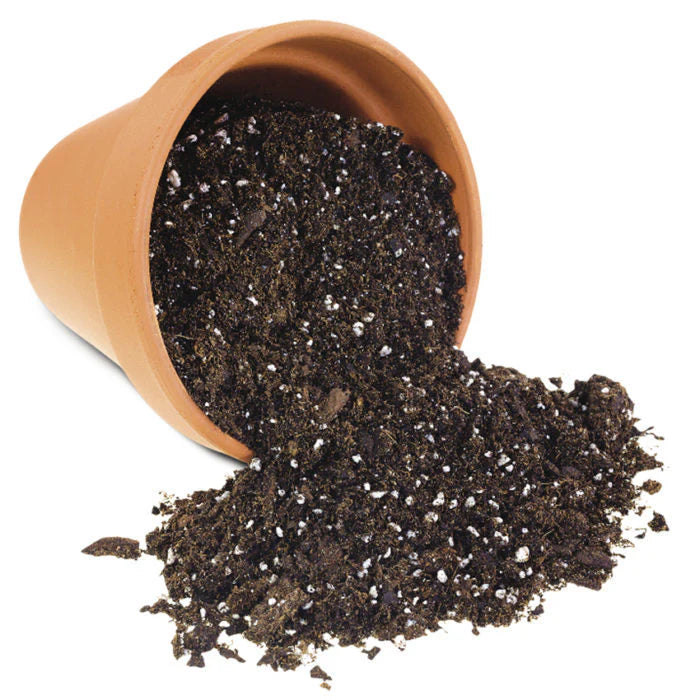 Soil | Vermicompost, Coco soil, neem cake & cow dung