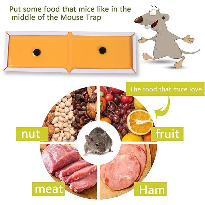 PCI Cardboard Troublegum Small Size Mouse Trap-1pc - Bestselling Products