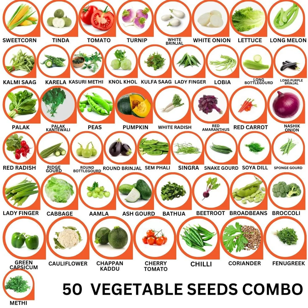 50-Variety Vegetable Seeds Combo | Grow 50 Different Veggies at Home- Vegetable Seeds Combo