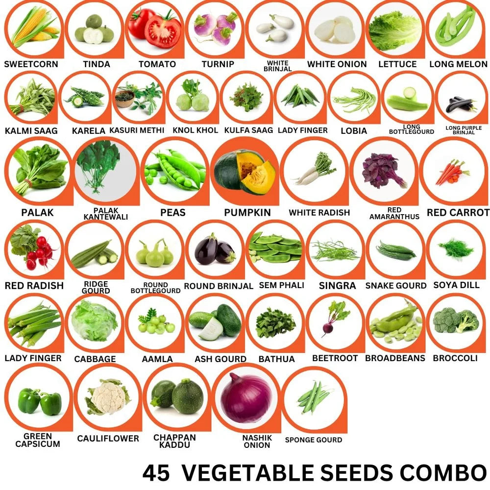 45-Variety Vegetable Seeds Combo | Grow 45 Different Veggies at Home- Vegetable Seeds Combo