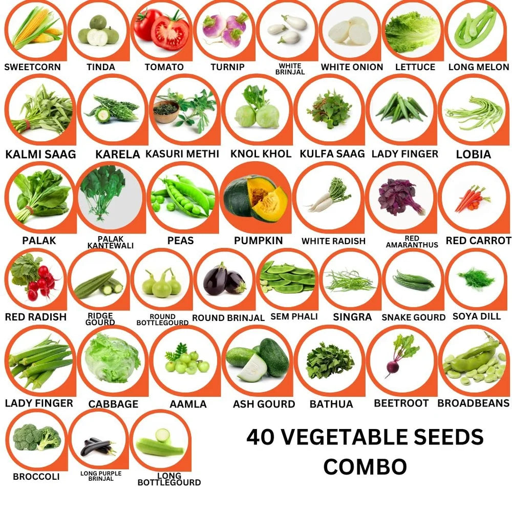 40-Variety Vegetable Seeds Combo | Grow 40 Different Veggies at Home- Vegetable Seeds Combo