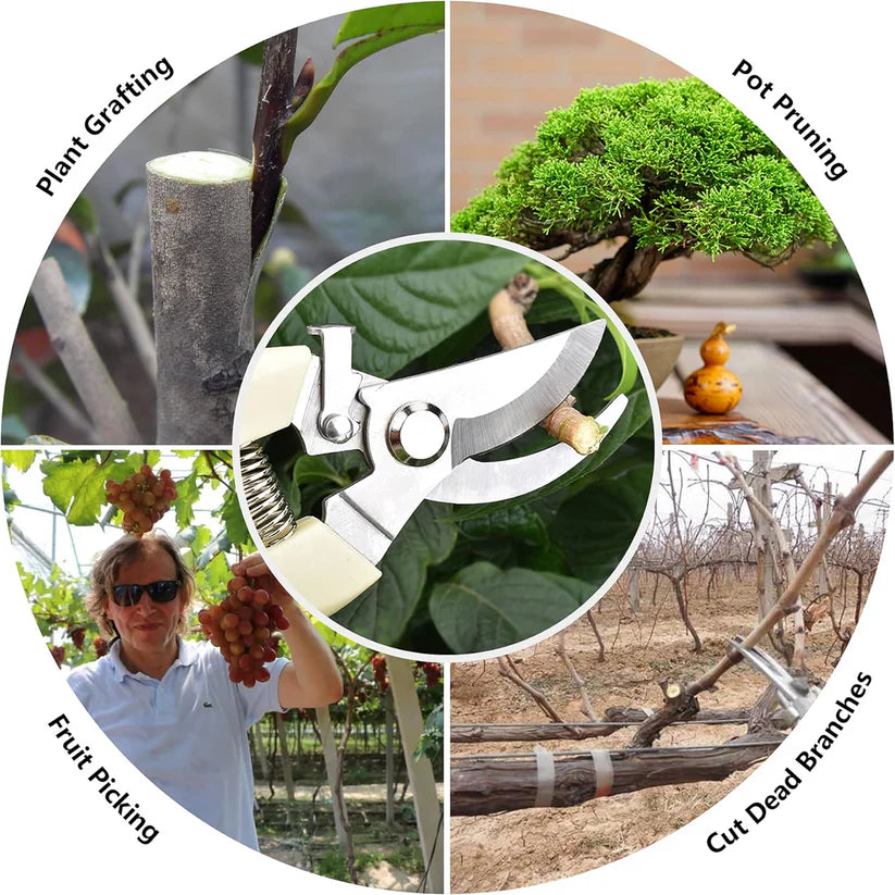 Stainless Steel Garden Scissors, flower cutter - Garden Tools