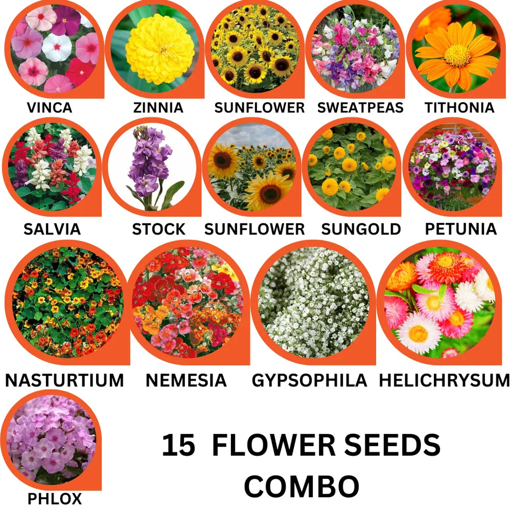 15 Variety Flower Seeds Combo Pack – Bloom Your Dream Garden - Flower Seeds Combo Pack