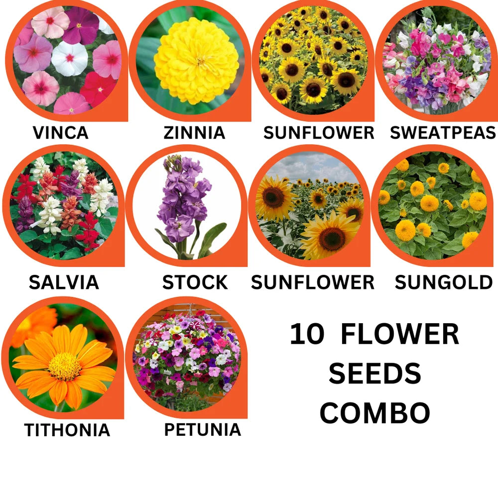 10 Variety Flower Seeds Combo Pack – Bloom Your Dream Garden - Flower Seeds Combo Pack