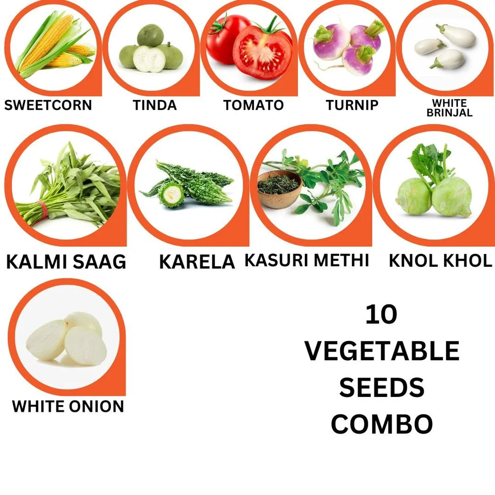 10-Variety Vegetable Seeds Combo | Grow 10 Different Veggies at Home- Vegetable Seeds Combo
