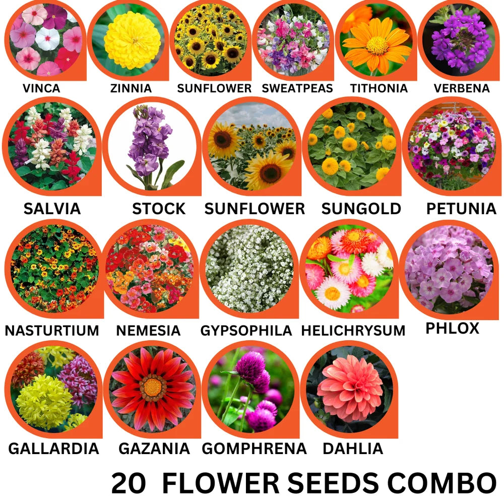 20 Variety Flower Seeds Combo Pack – Bloom Your Dream Garden - Flower Seeds Combo Pack