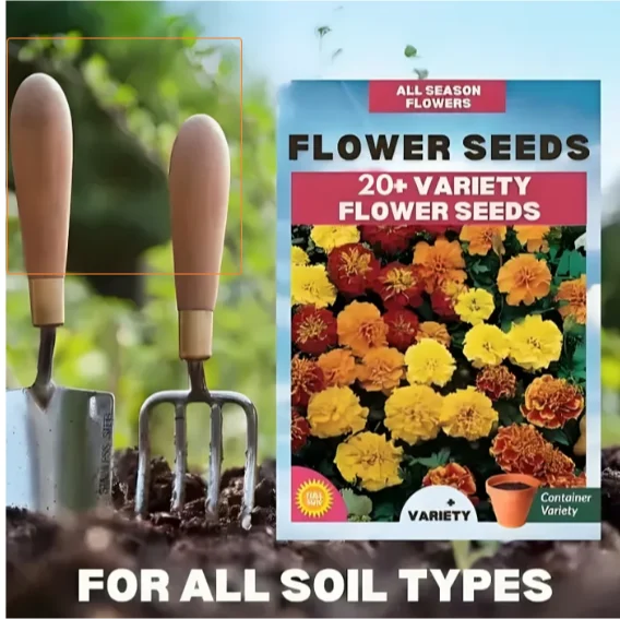 20 Variety of Flower Seeds  - Flower Seeds Combo Pack