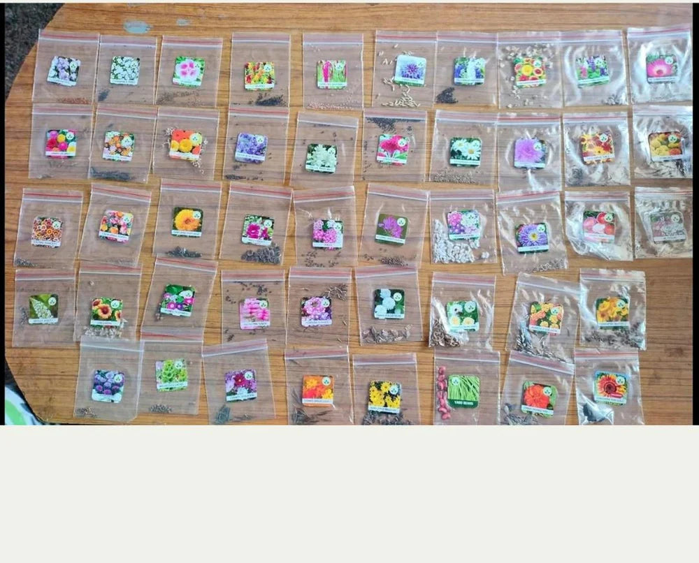 20 Variety of Flower Seeds  - Flower Seeds Combo Pack