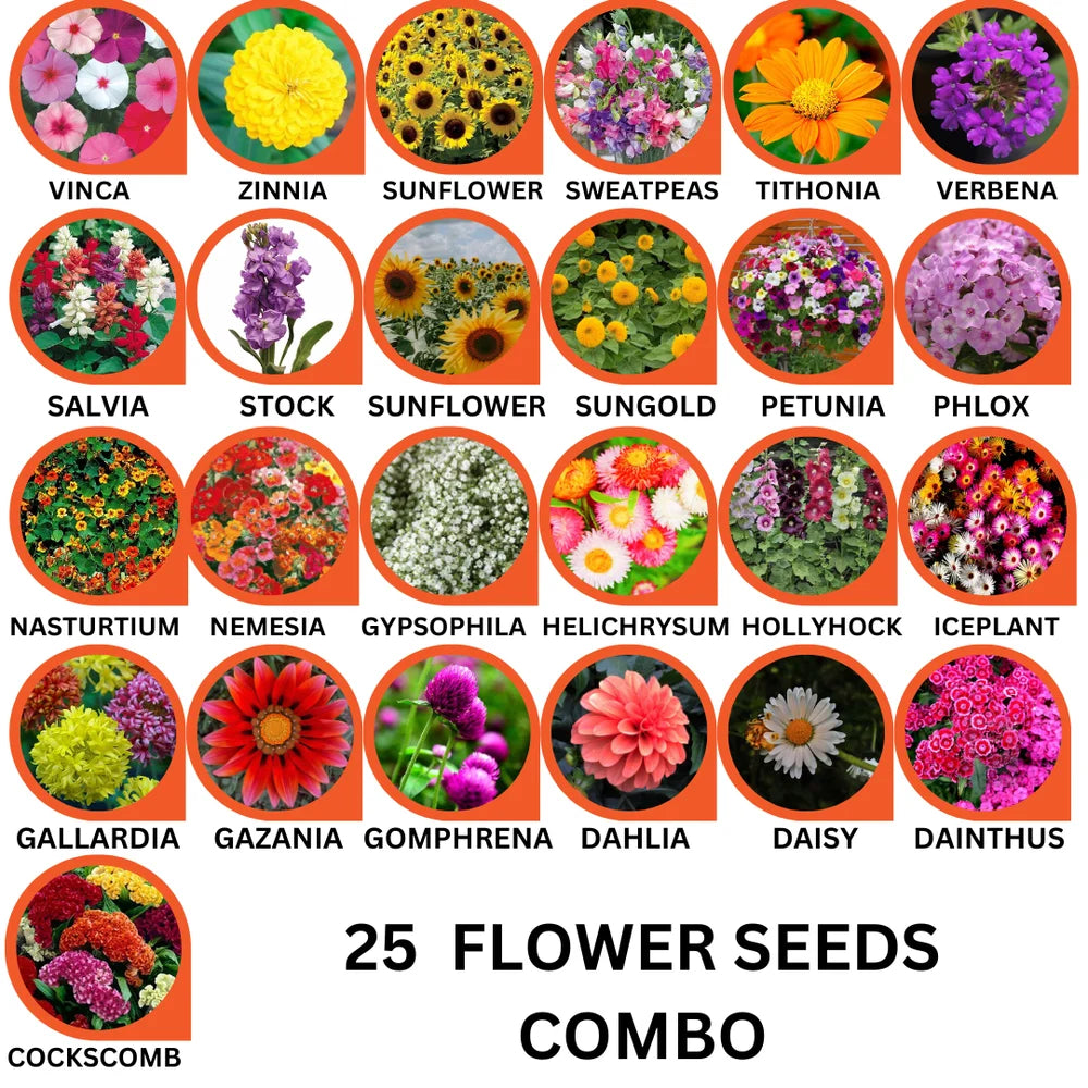 25 Variety Flower Seeds Combo Pack – Bloom Your Dream Garden - Flower Seeds Combo Pack