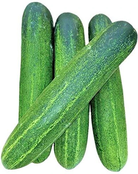 ARKA Veera-TFL cucumber- Vegetable Seeds