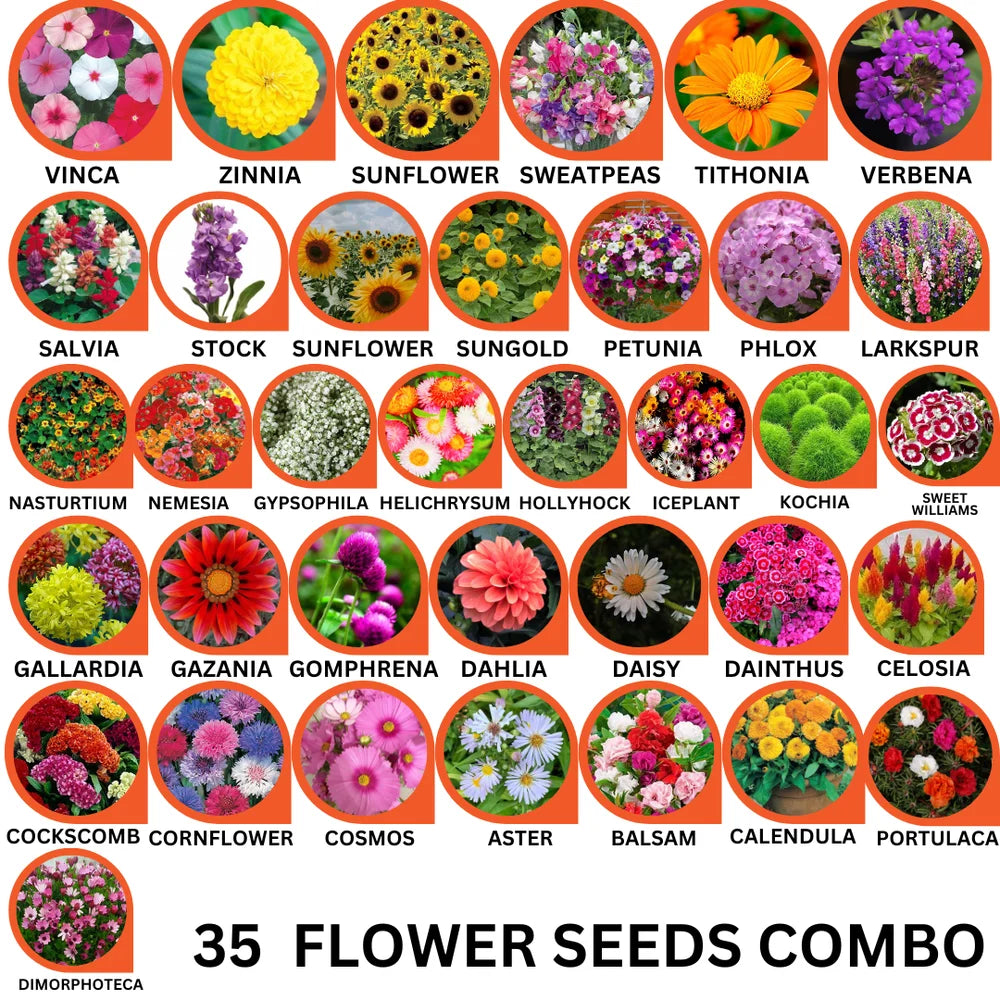 35 Variety Flower Seeds Combo Pack – Bloom Your Dream Garden - Flower Seeds Combo Pack