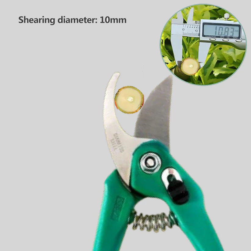 Stainless Steel Garden Scissors, flower cutter - Garden Tools