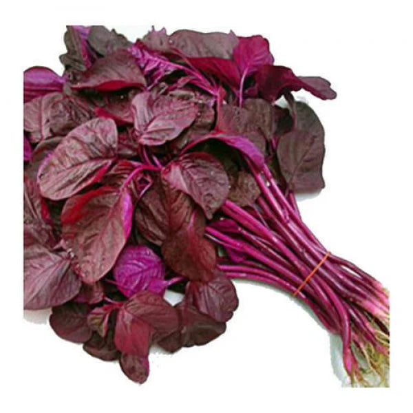ARKA Arunima-TFL Veg.Red AMARANTH- Vegetable Seeds