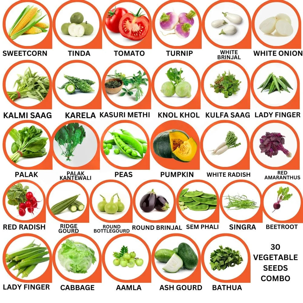 30-Variety Vegetable Seeds Combo | Grow 30 Different Veggies at Home- Vegetable Seeds Combo