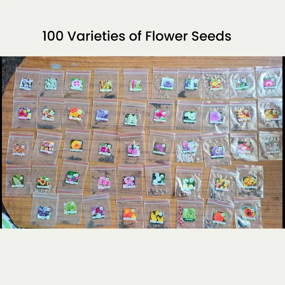 100 Variety Flower Seeds Combo Pack – Bloom Your Dream Garden - Flower Seeds Combo Pack
